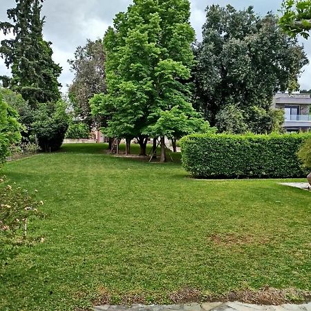 Spitaki Villa Pefkochori Exteriör bild